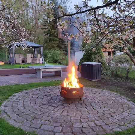 Grosszuegige Ferienwohnung Am Waldesrand Im Seenland Lauta Exterior foto