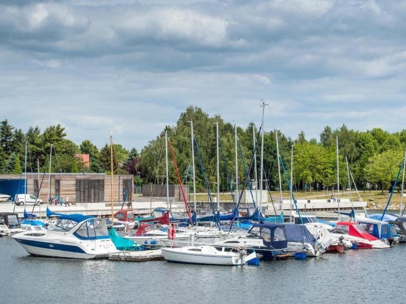 Grosszuegige Ferienwohnung Am Waldesrand Im Seenland Lauta Exterior foto