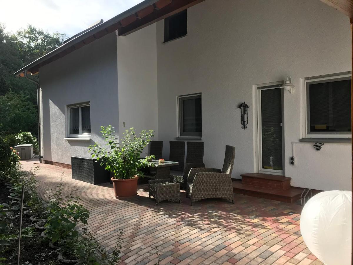 Grosszuegige Ferienwohnung Am Waldesrand Im Seenland Lauta Exterior foto