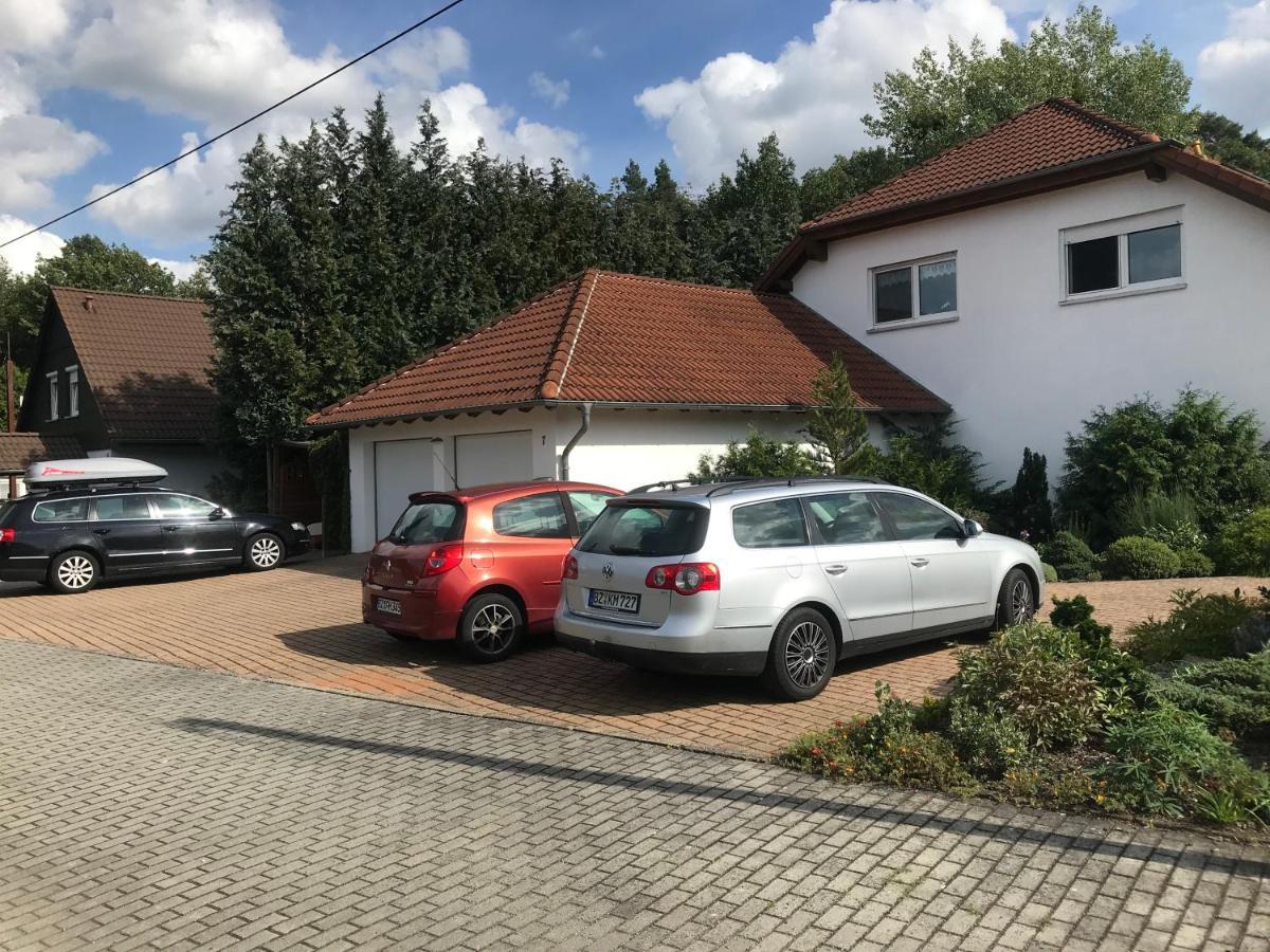 Grosszuegige Ferienwohnung Am Waldesrand Im Seenland Lauta Exterior foto