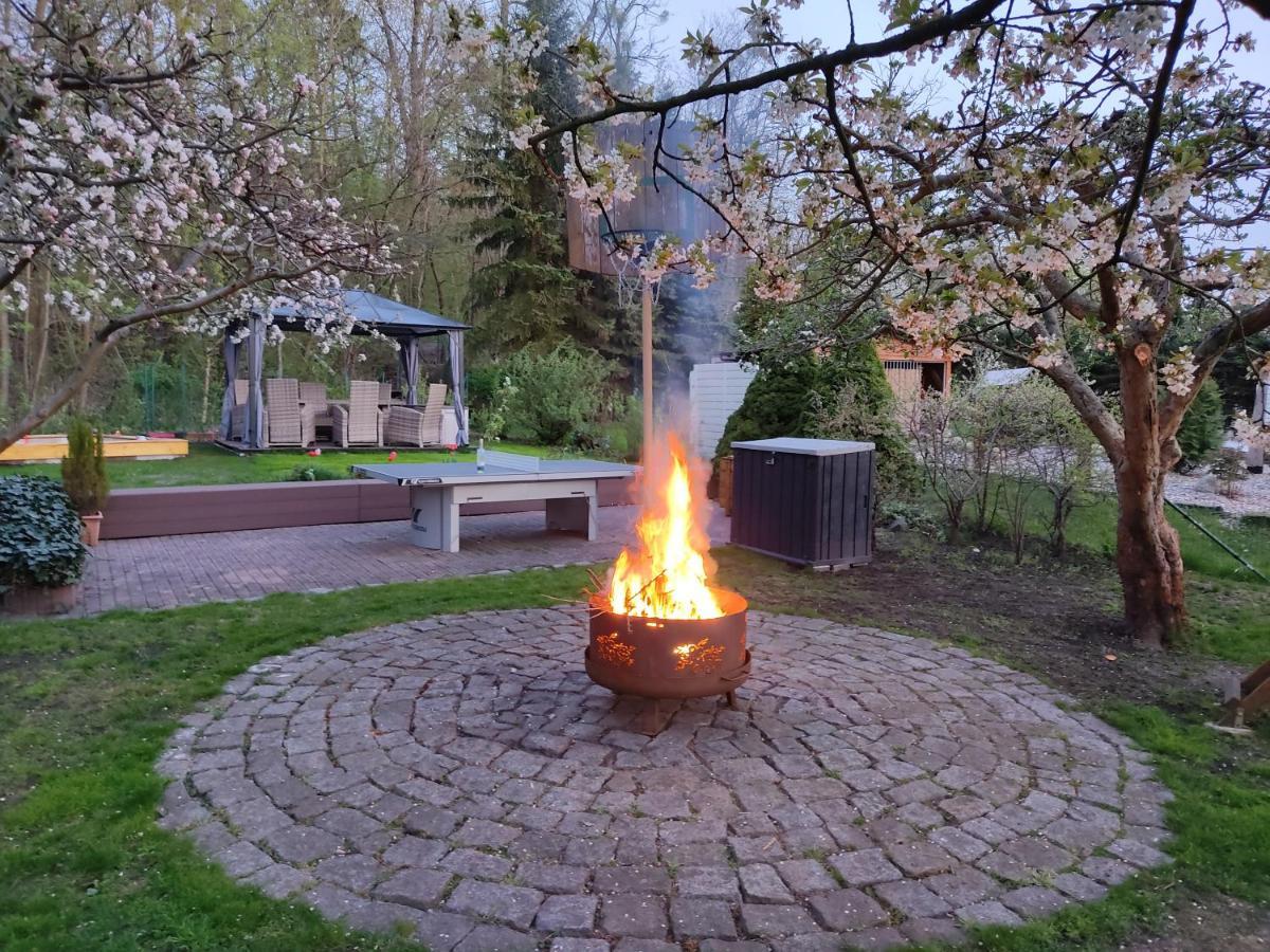 Grosszuegige Ferienwohnung Am Waldesrand Im Seenland Lauta Exterior foto