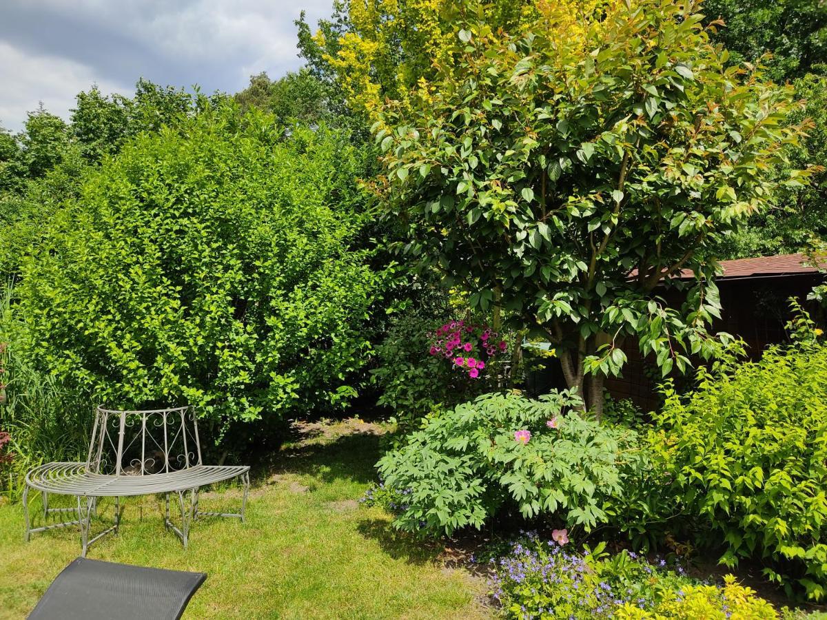 Grosszuegige Ferienwohnung Am Waldesrand Im Seenland Lauta Exterior foto