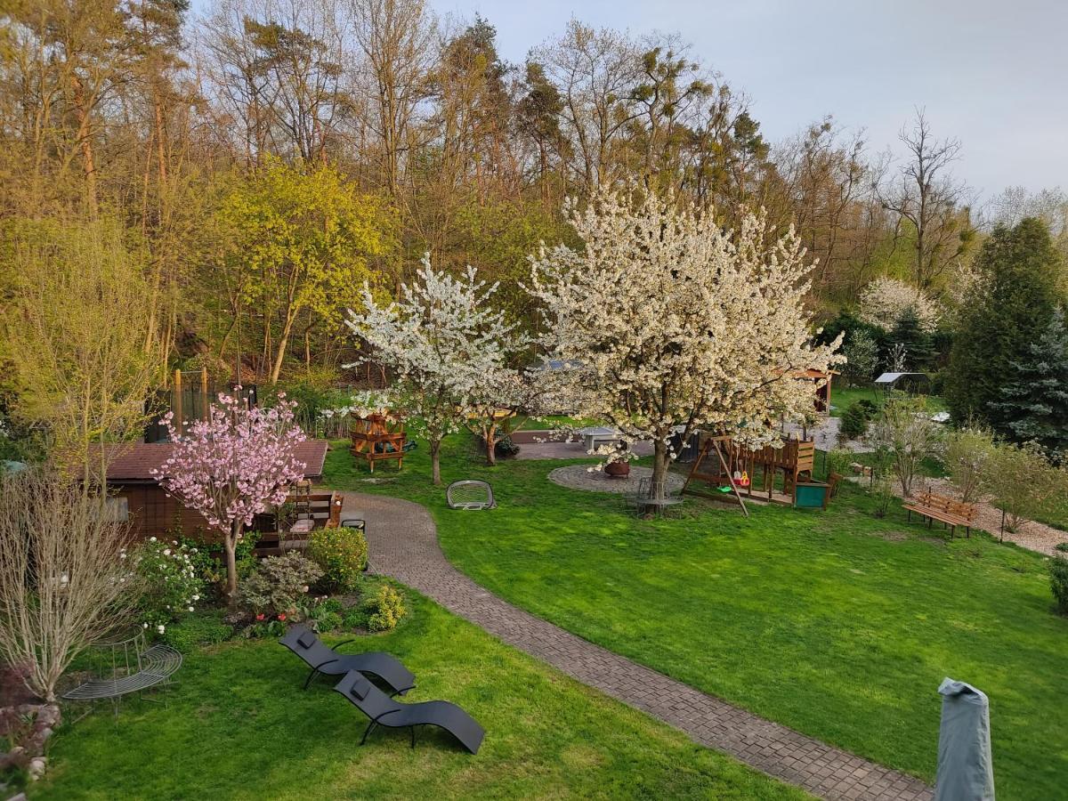 Grosszuegige Ferienwohnung Am Waldesrand Im Seenland Lauta Exterior foto